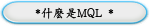 *什么是MQL *