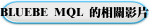 BLUEBE MQL 的相關影片